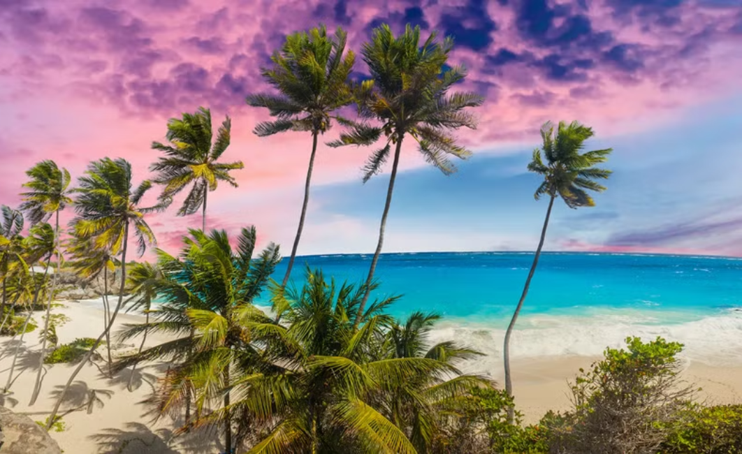 Hidden Gems You Must Explore While Visiting Barbados